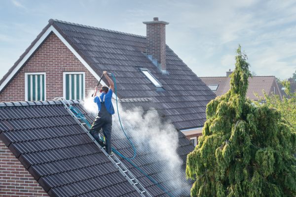 Olympia Roof Cleaning