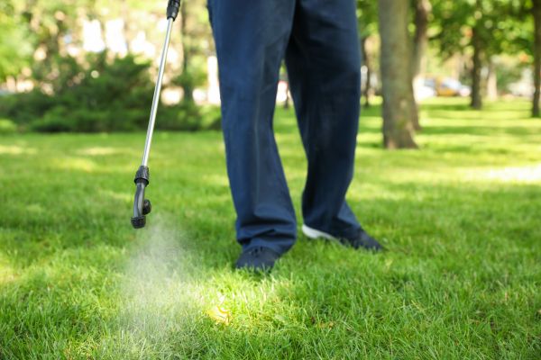 Olympia Lawn Treatment