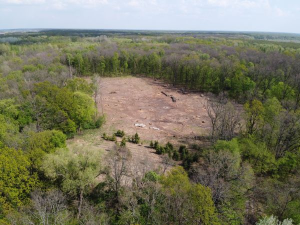 Olympia Land Clearing