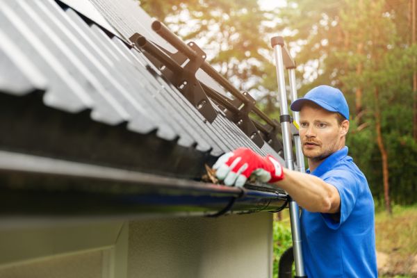 Olympia Gutter Service